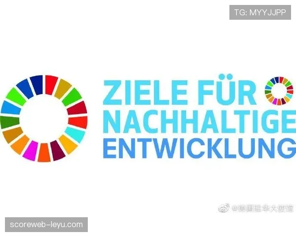 马里积极推进经济转型与可持续发展战略取得显著成效
